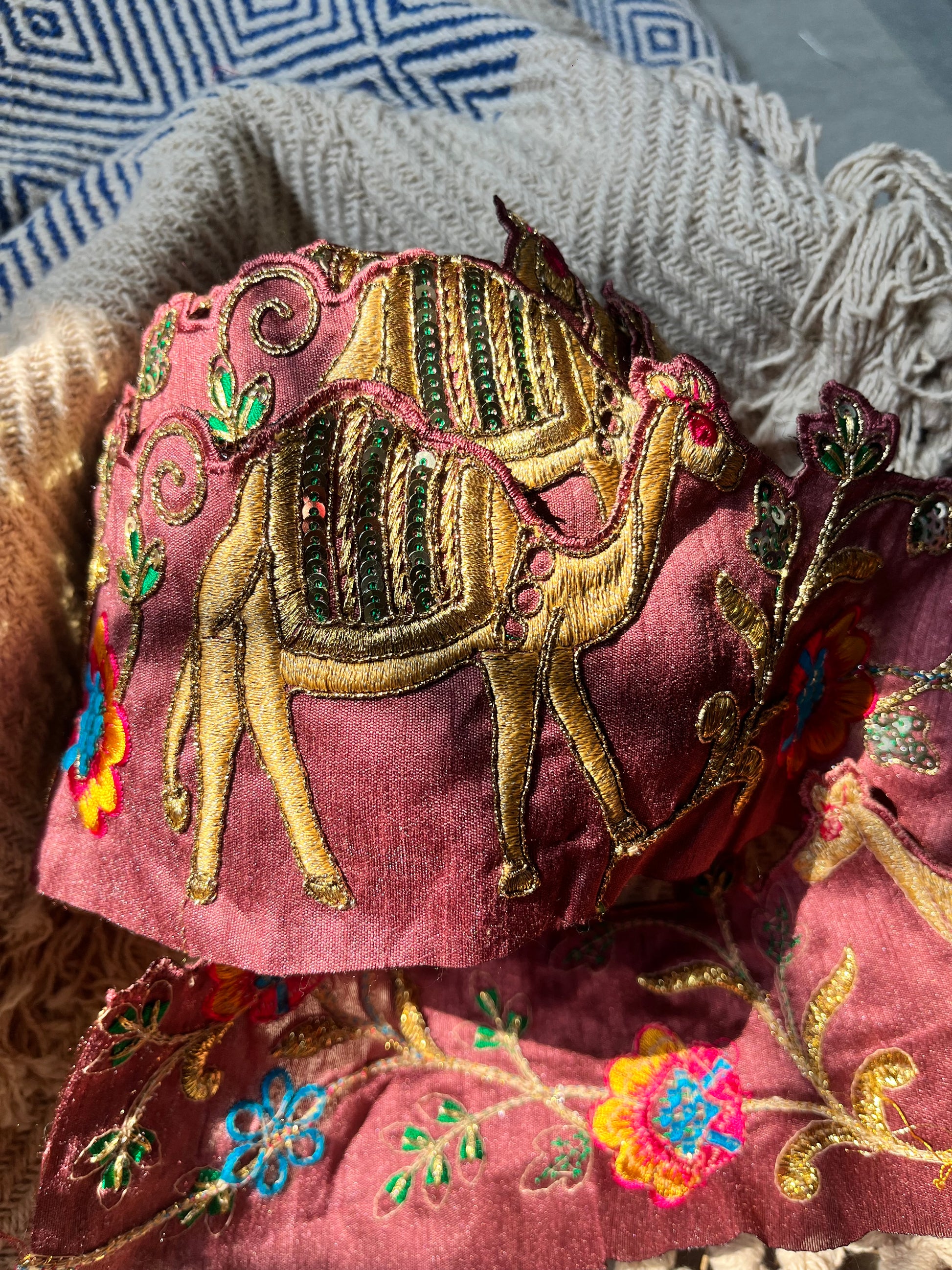 Royal Camel Embroidered Zari Lace Trim